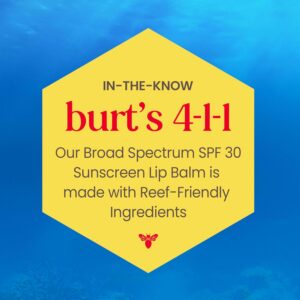 Burt Bee Spf Lip Balm - Image 2